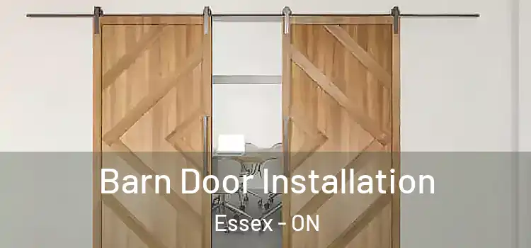 Barn Door Installation Essex - ON