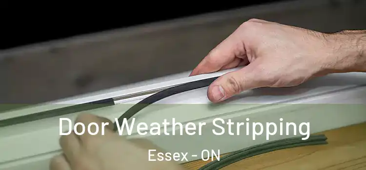 Door Weather Stripping Essex - ON