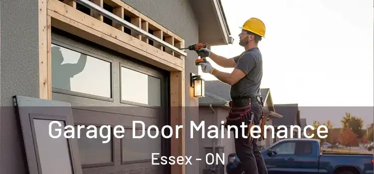 Garage Door Maintenance Essex - ON