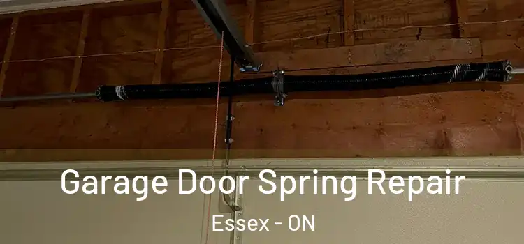  Garage Door Spring Repair Essex - ON