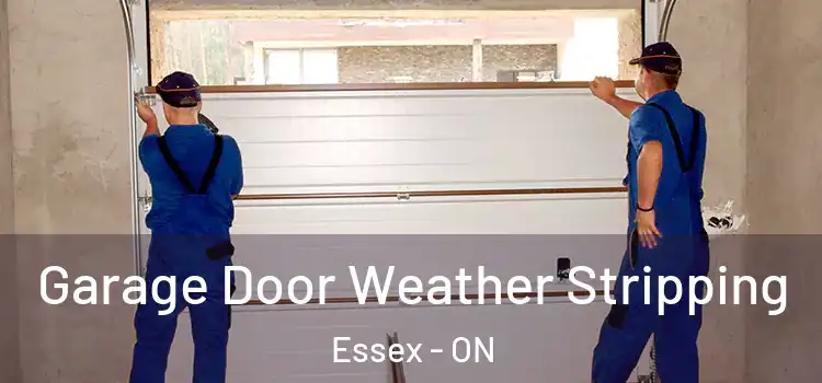  Garage Door Weather Stripping Essex - ON