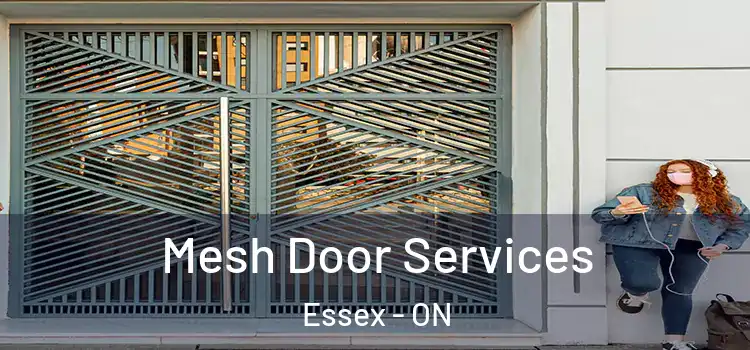 Mesh Door Services Essex - ON