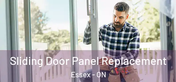  Sliding Door Panel Replacement Essex - ON