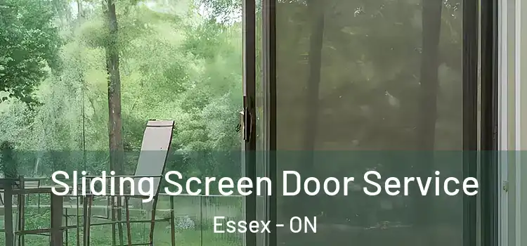  Sliding Screen Door Service Essex - ON